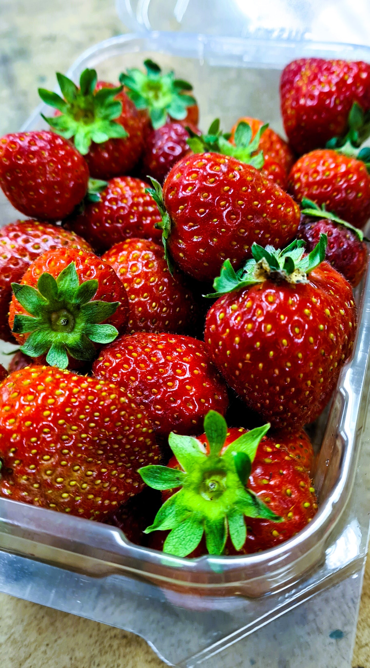 NZ STRAWBERRY-250 GR