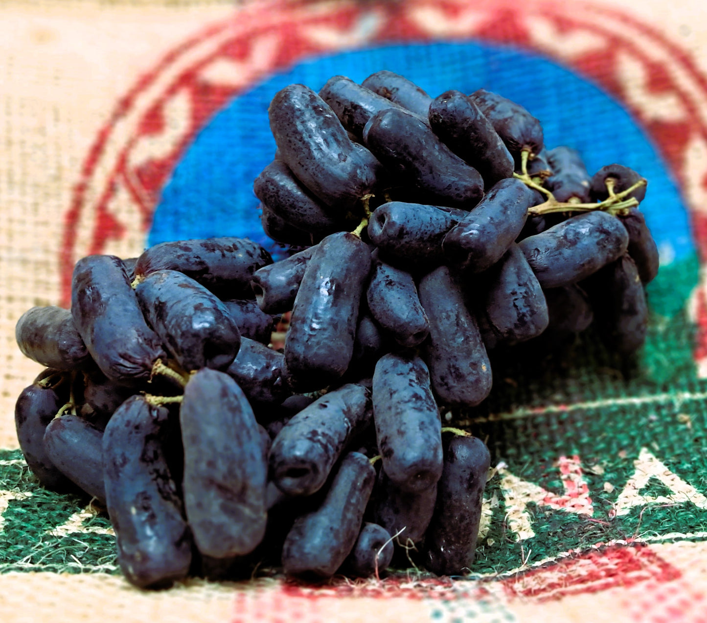 BLACK GRAPES