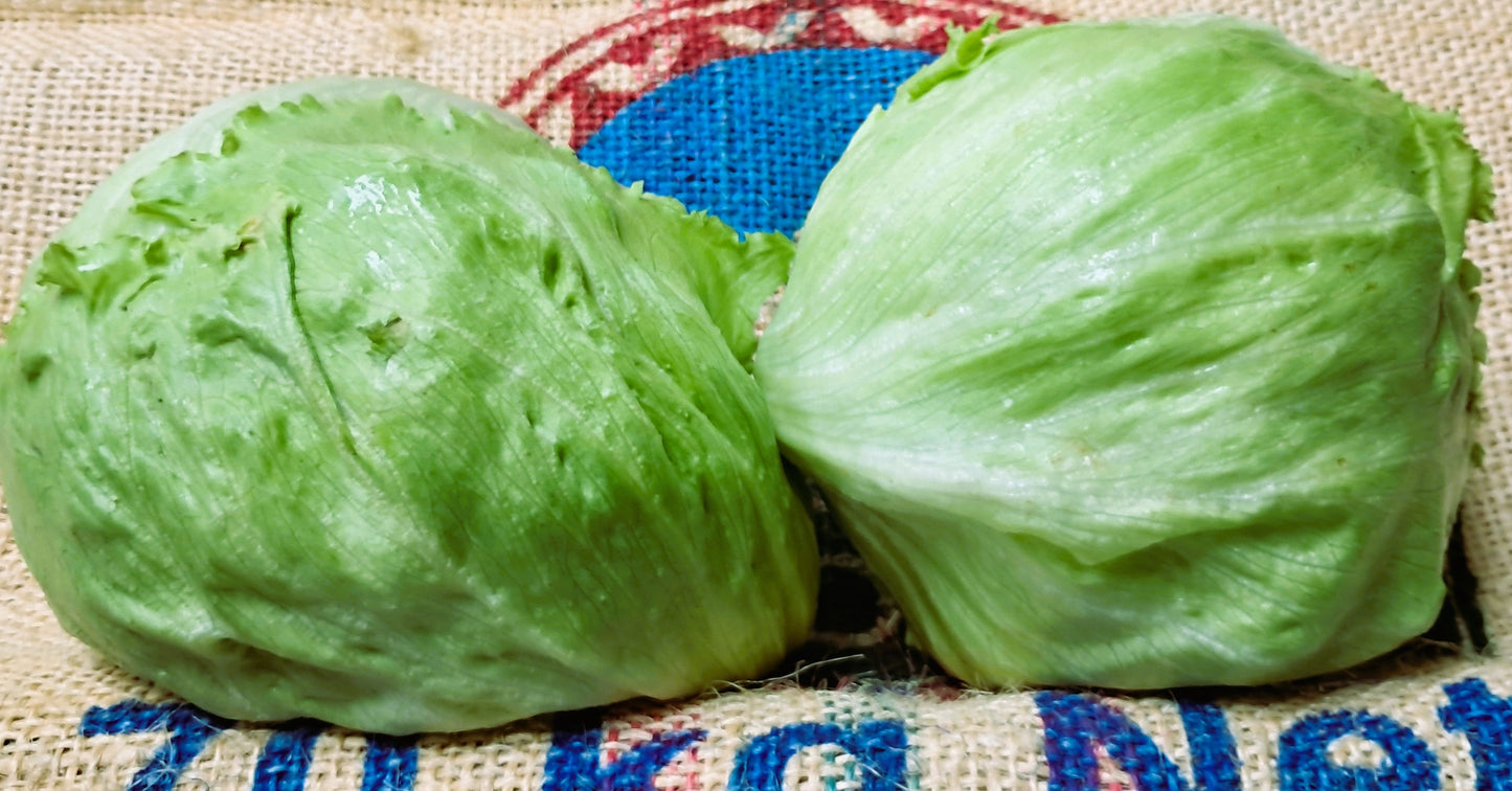 ICEBERG LETTUCE