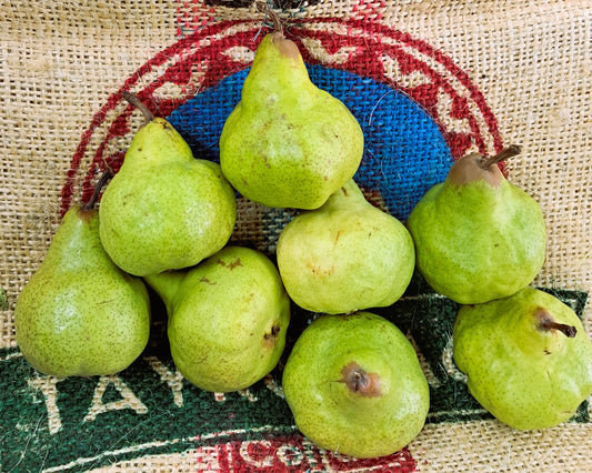 PACKHAM PEARS