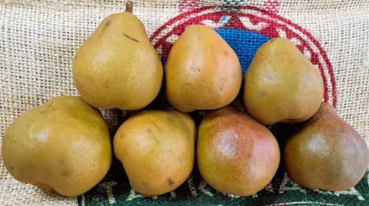 BOSC PEARS