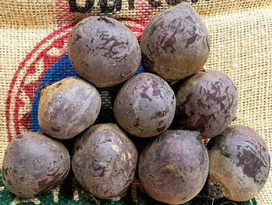 BEETROOT - MEDIUM SIZE