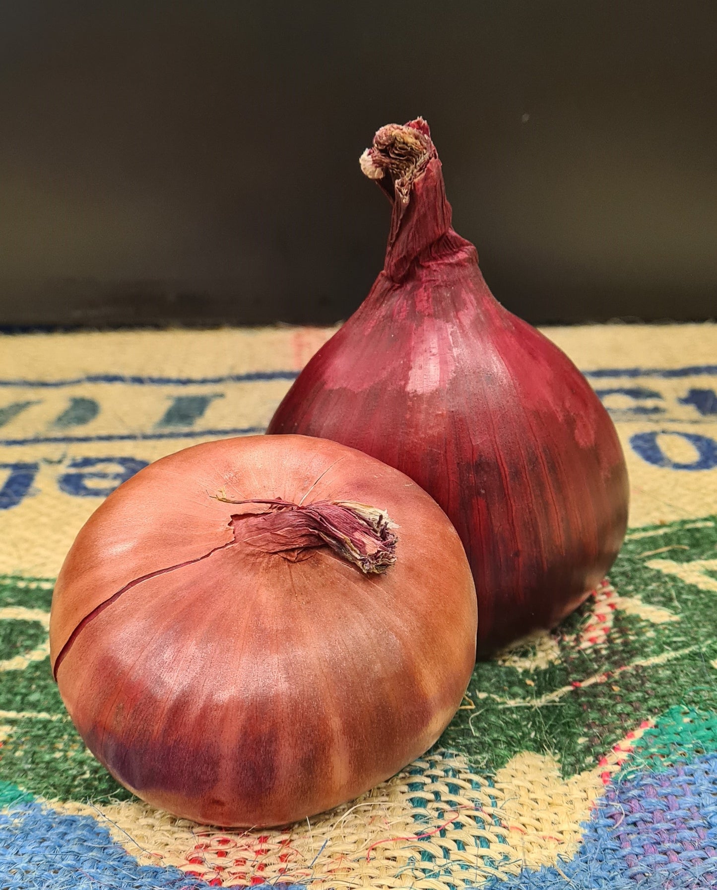 RED ONION
