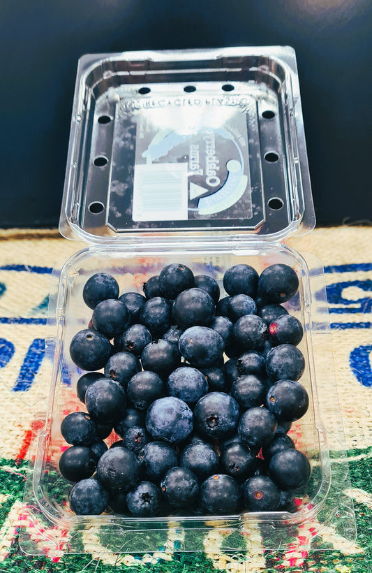 BLUEBERRIES -125GR