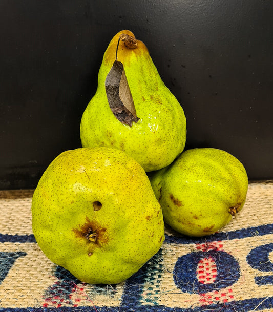 PACKHAM PEARS