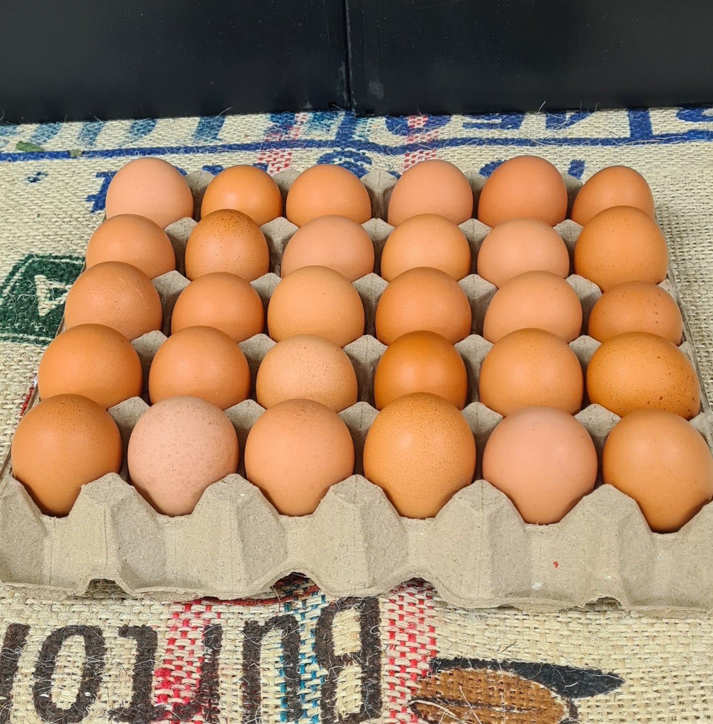Free Range Eggs Tray of 30
