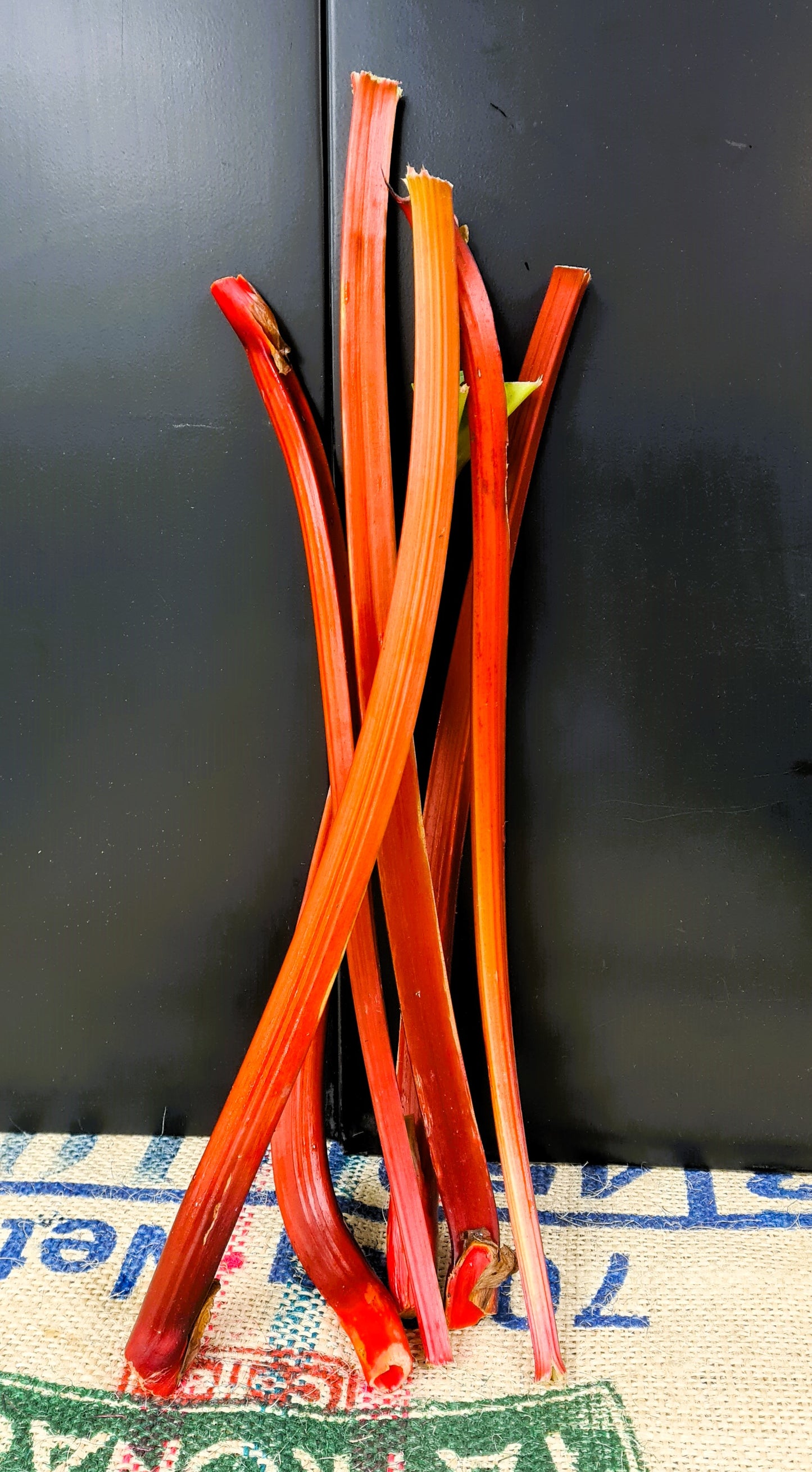 RHUBARB