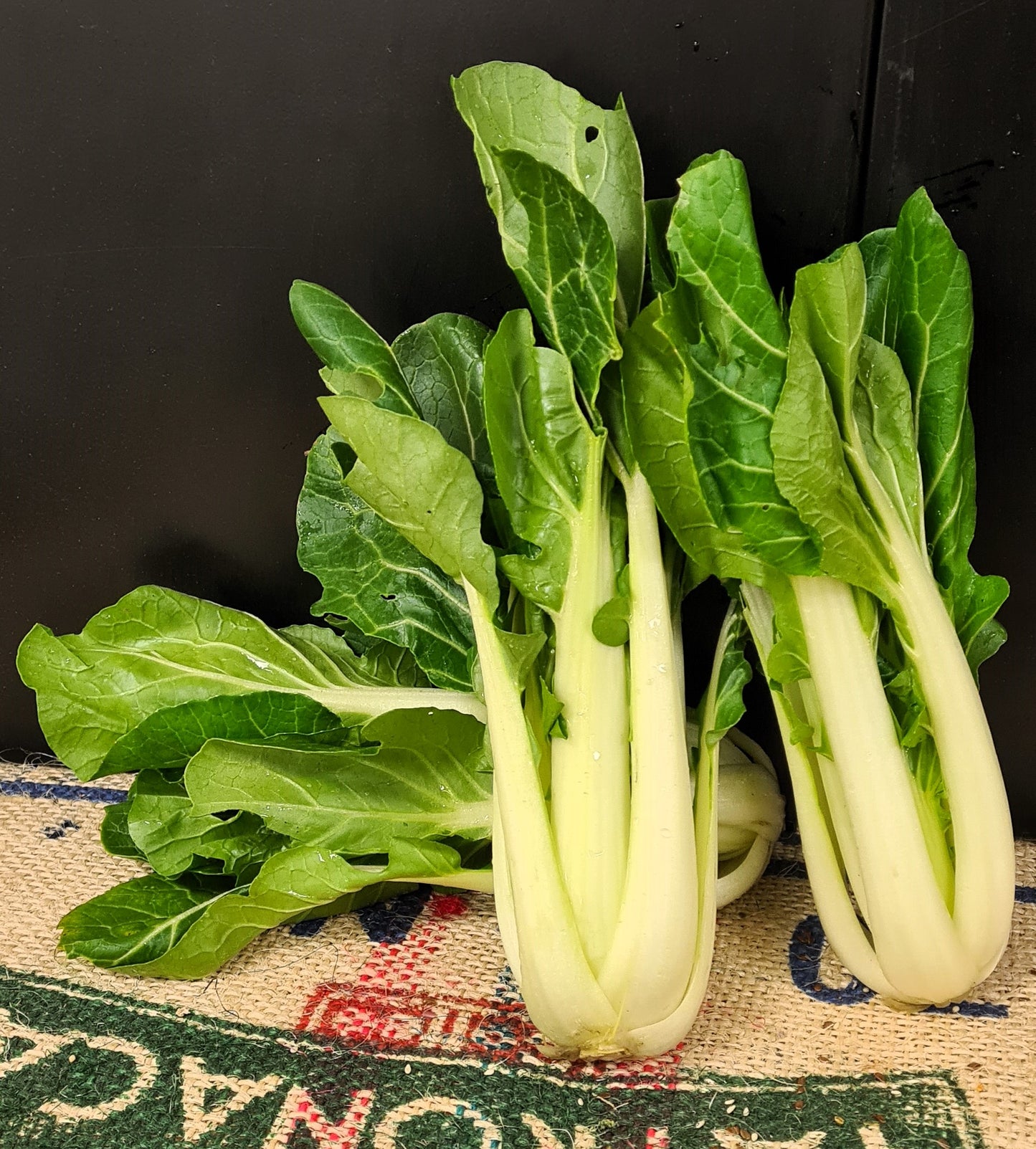 Pak Choy
