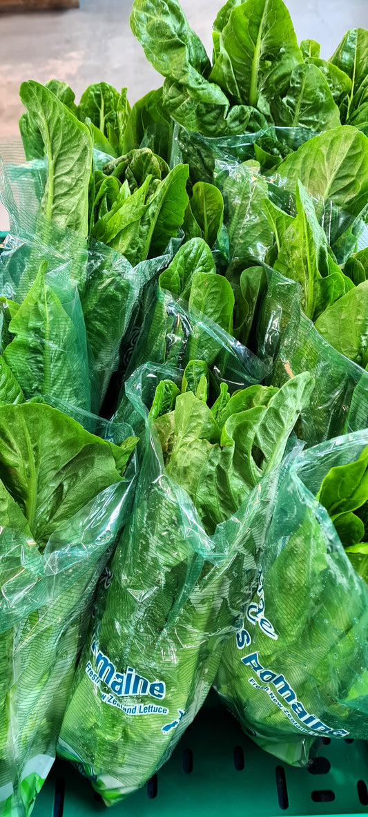 Cos Lettuce