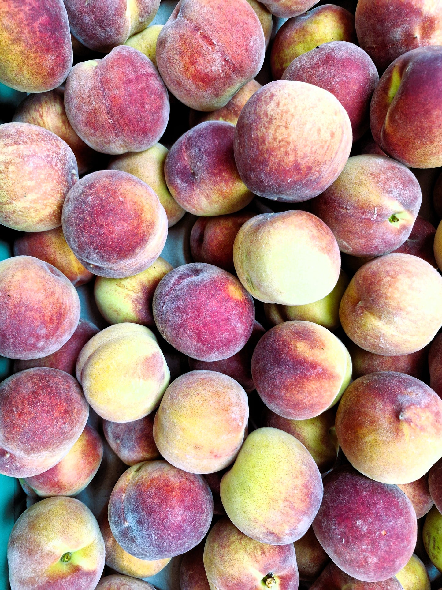 NZ Spring crect Peaches