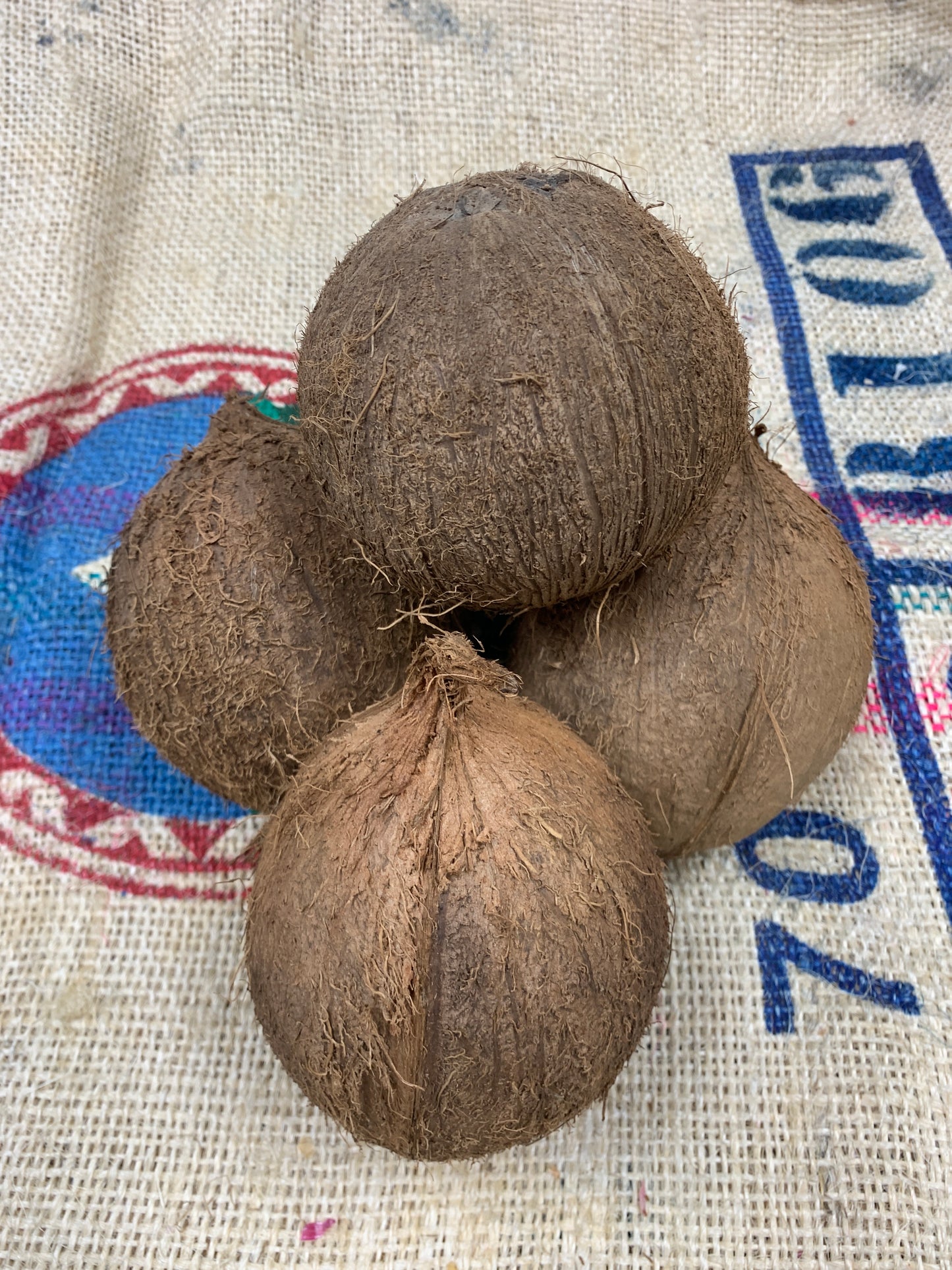 Coconut