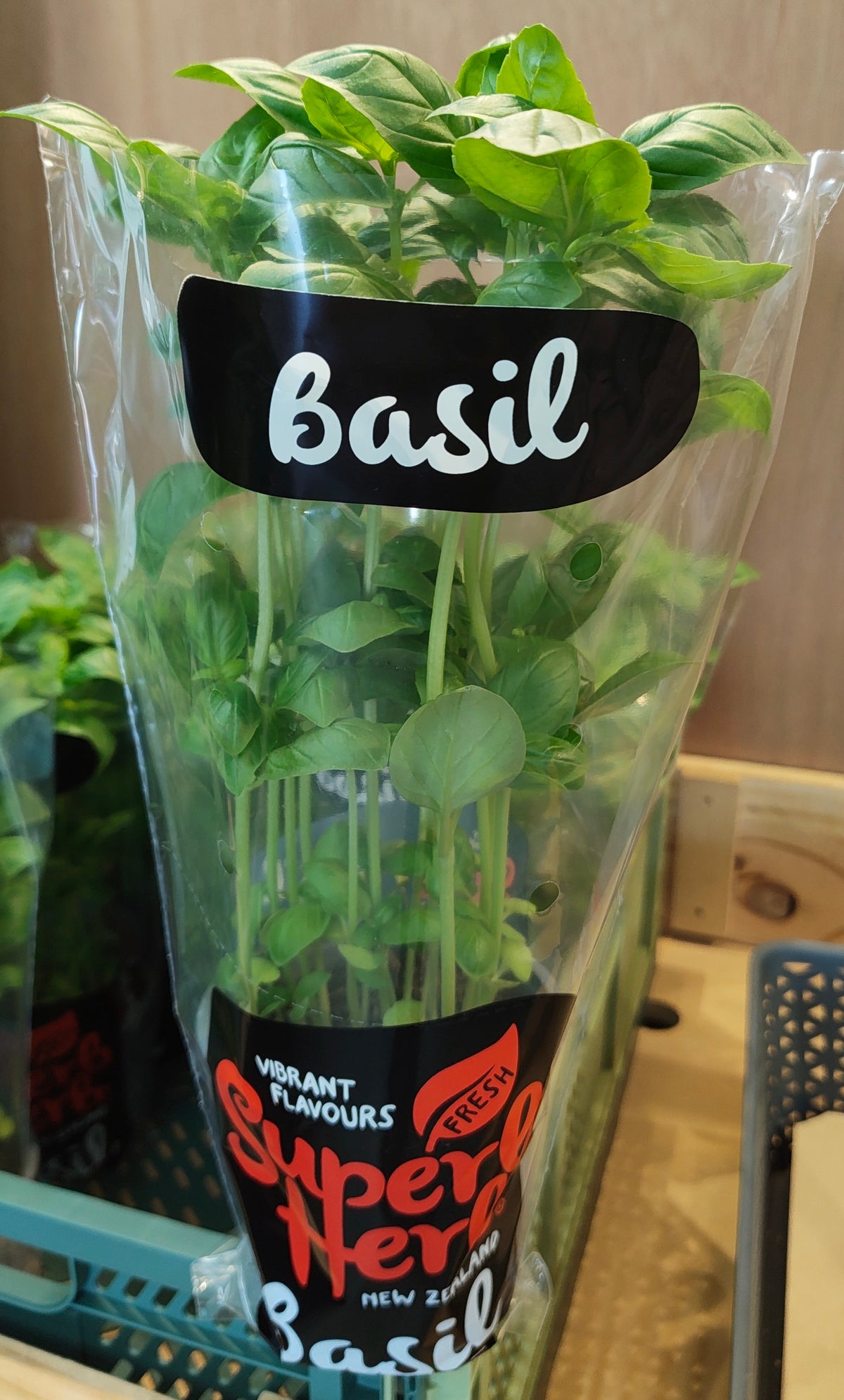 Living Basil