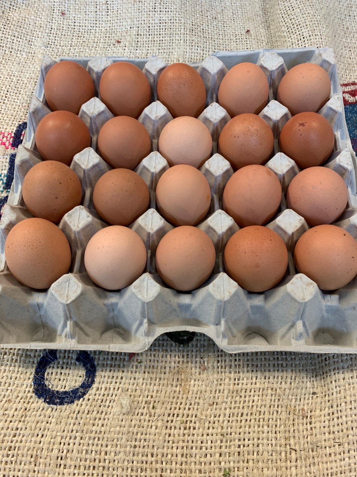 Eggs tray of 20 jumbo (8+) Free range
