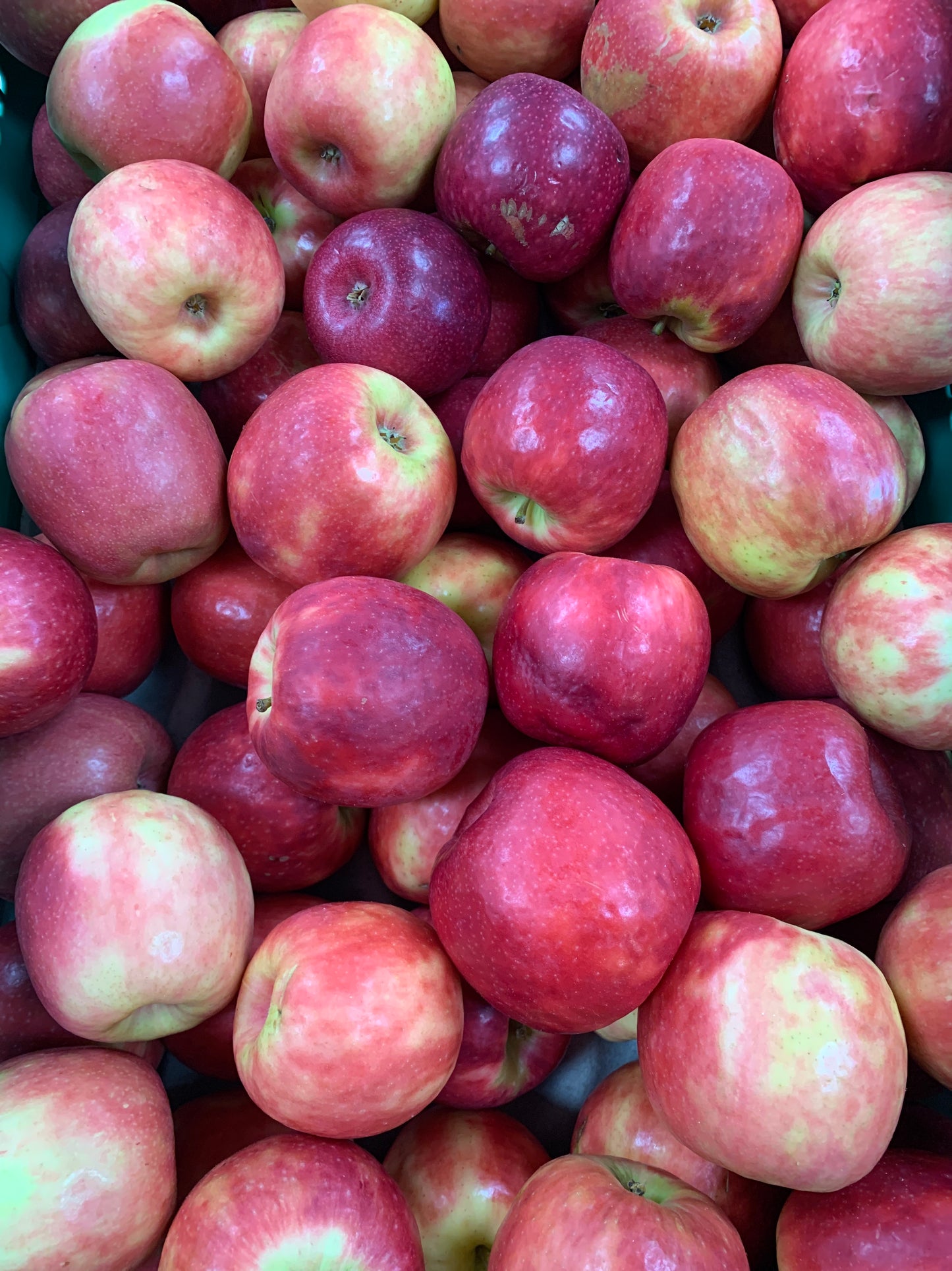 Apples - Crisp Pink