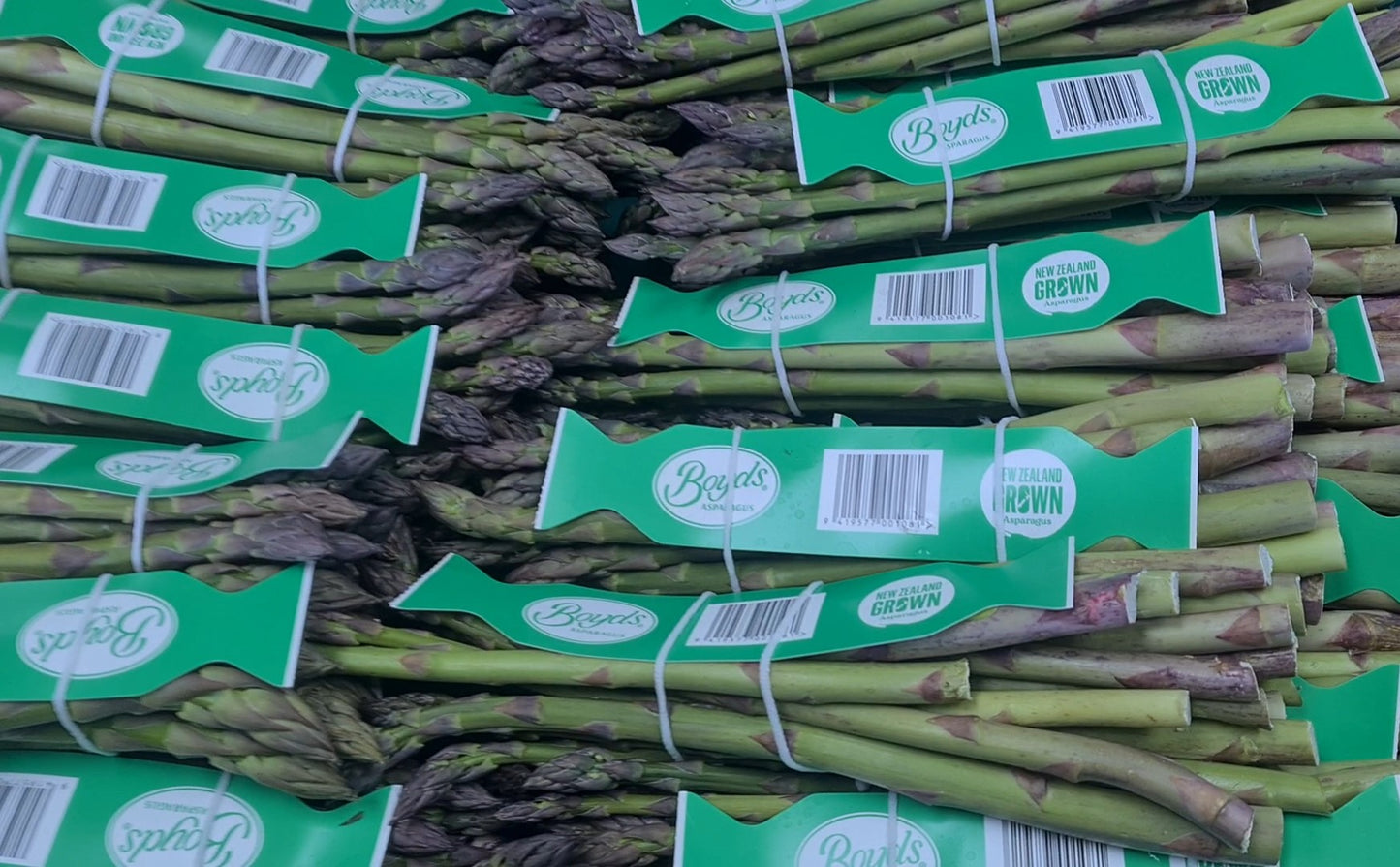 Asparagus