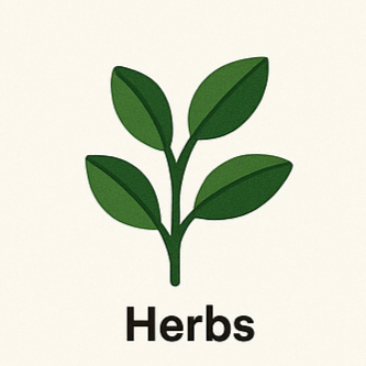 Herbs & Sprouts