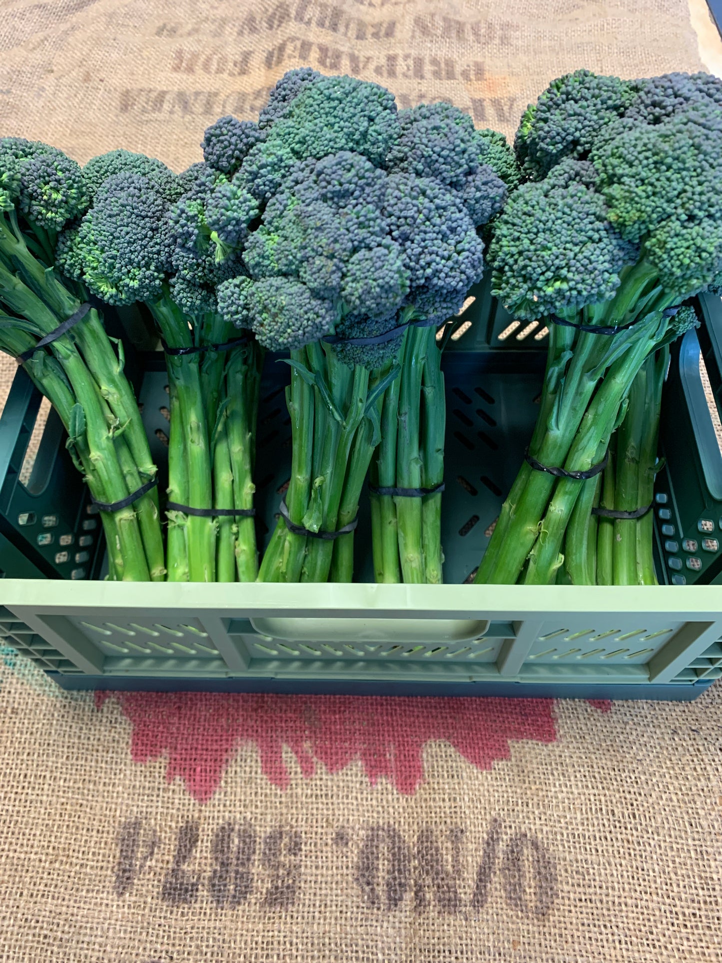 Baby broccoli