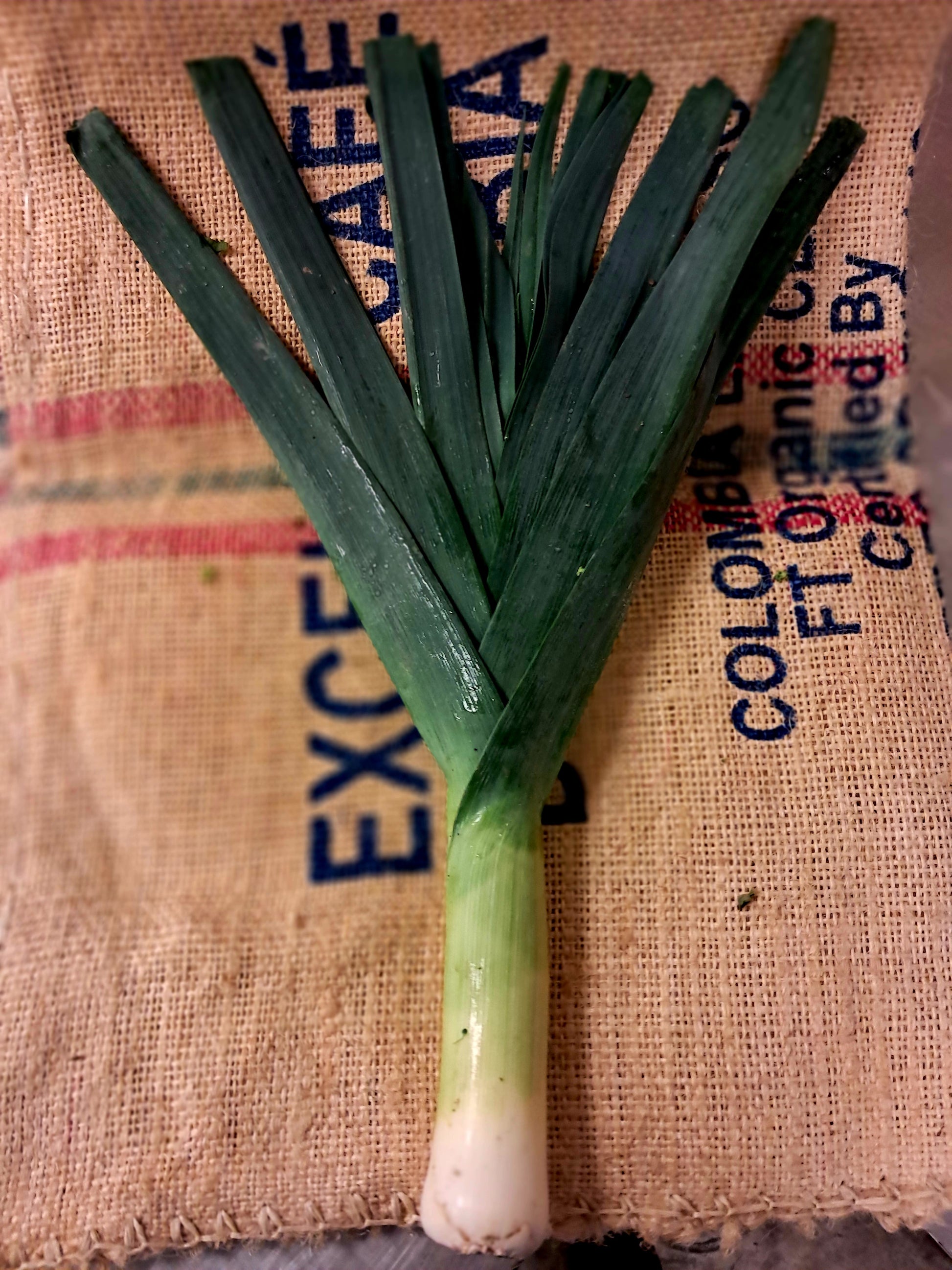 Brighten up your dishes with fresh, tender leeks! Perfect for soups, salads, and more — our locally grown leeks bring a mild, sweet flavor that your family will love. Order now for farm-fresh quality delivered to your door!