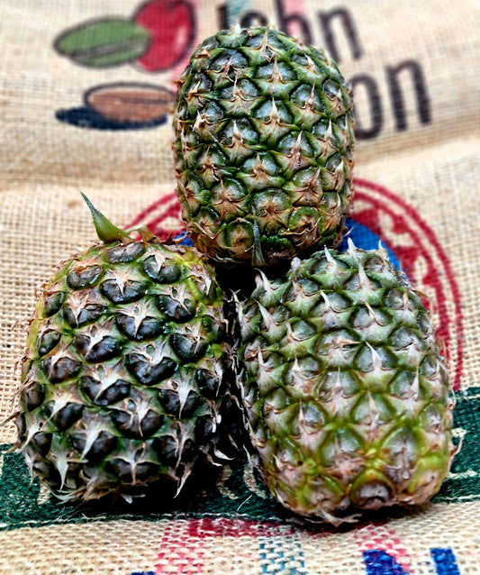 PINEAPLLE
