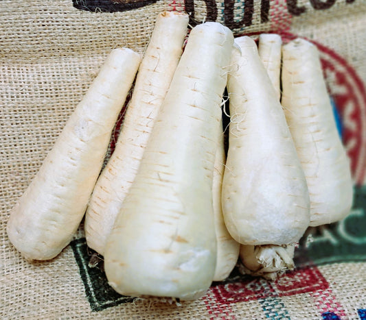 PARSNIP