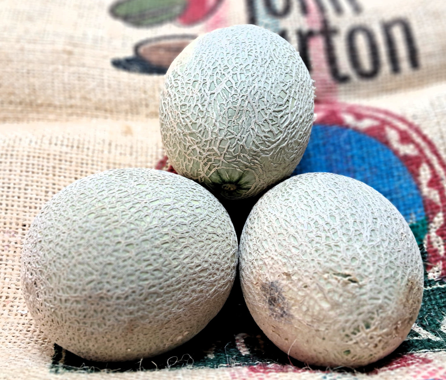 ROCKMELON