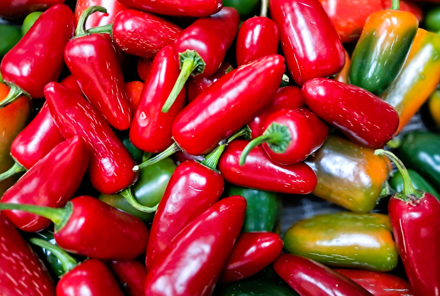 JALAPENO