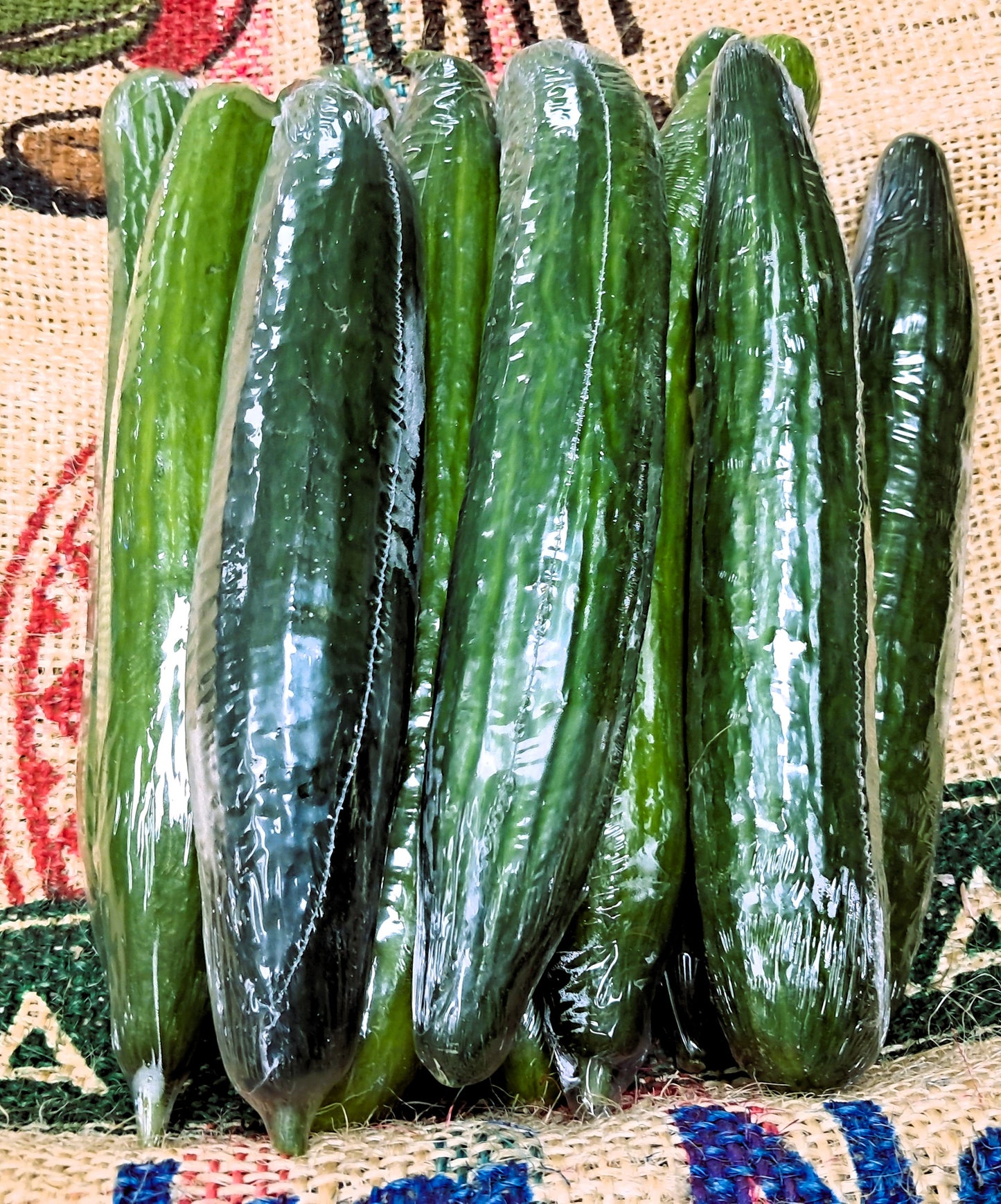 TELEGRAPH CUCUMBER