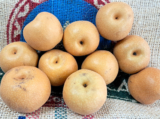 NASHI PEARS