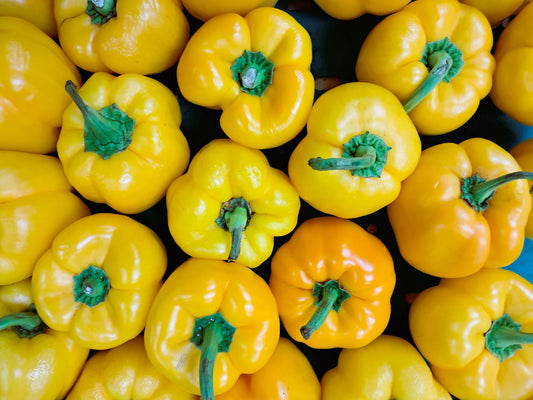 YELLOW CAPSICUM