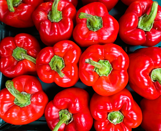 RED CAPSICUM
