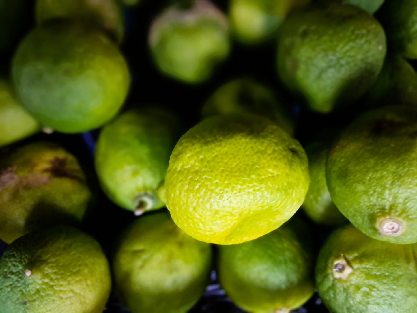 LIME