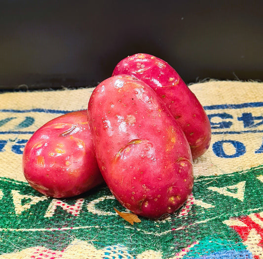 POTATOES VAN ROSA