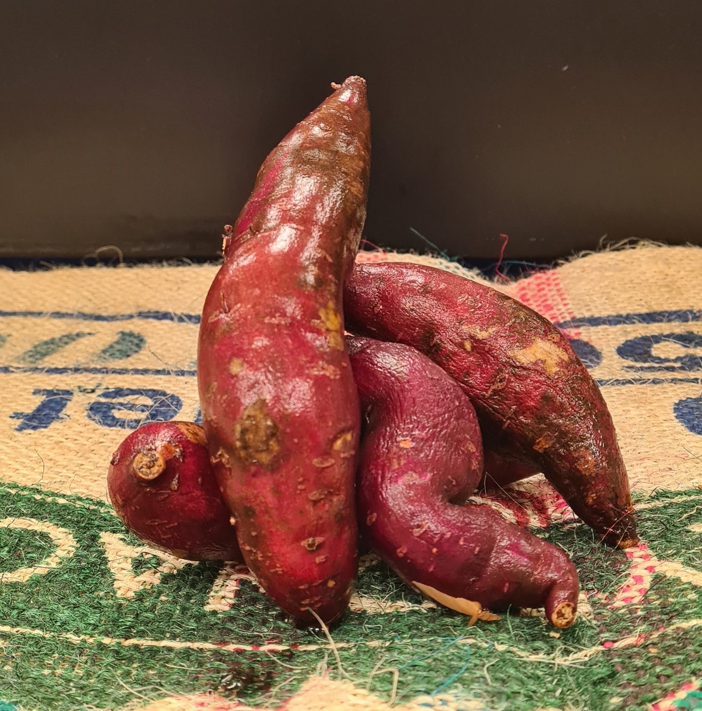 KUMARA RED