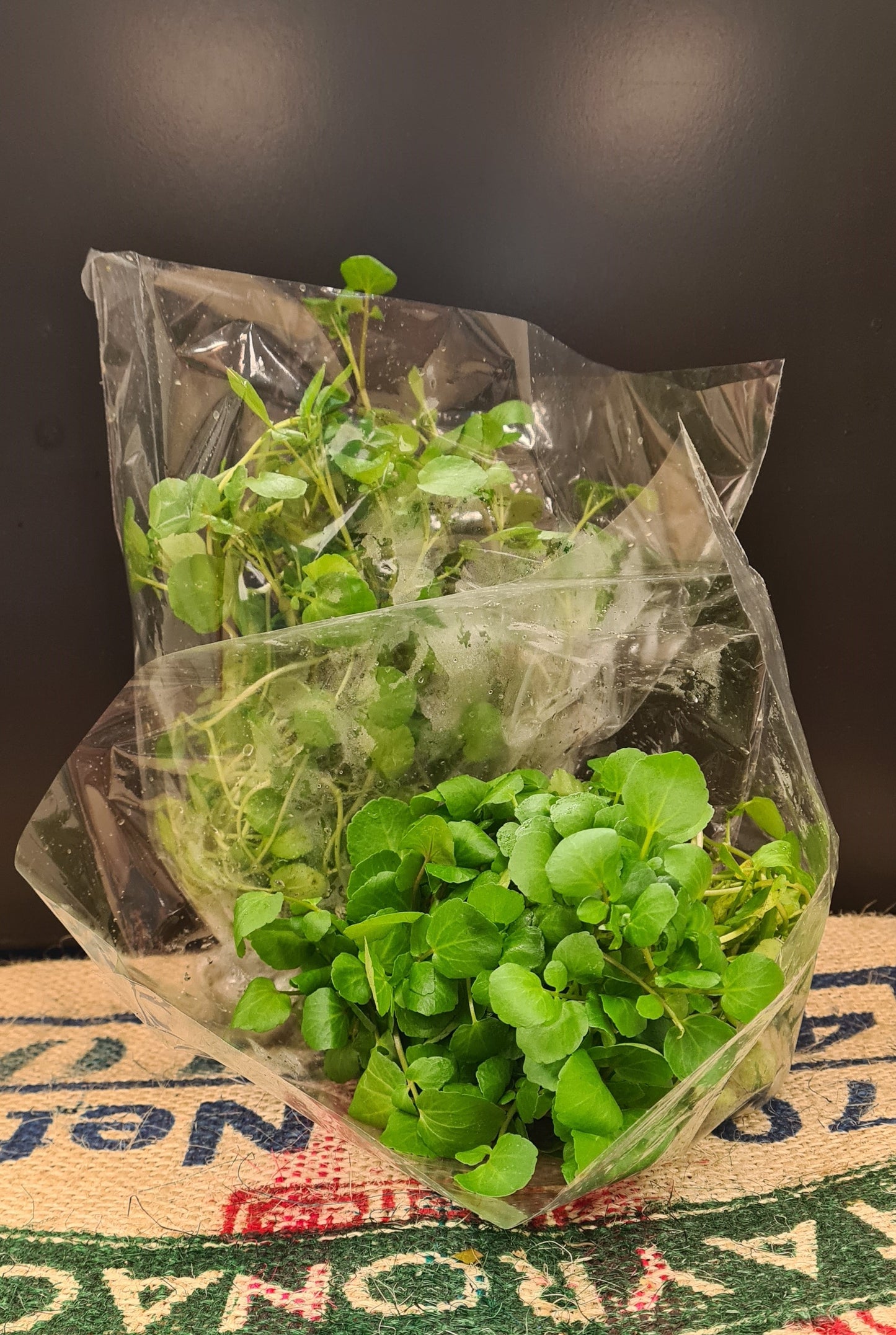 WATERCRESS