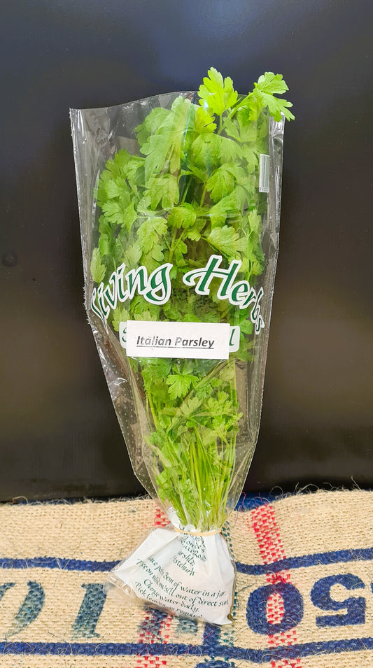 ITALIAN PARSLEY