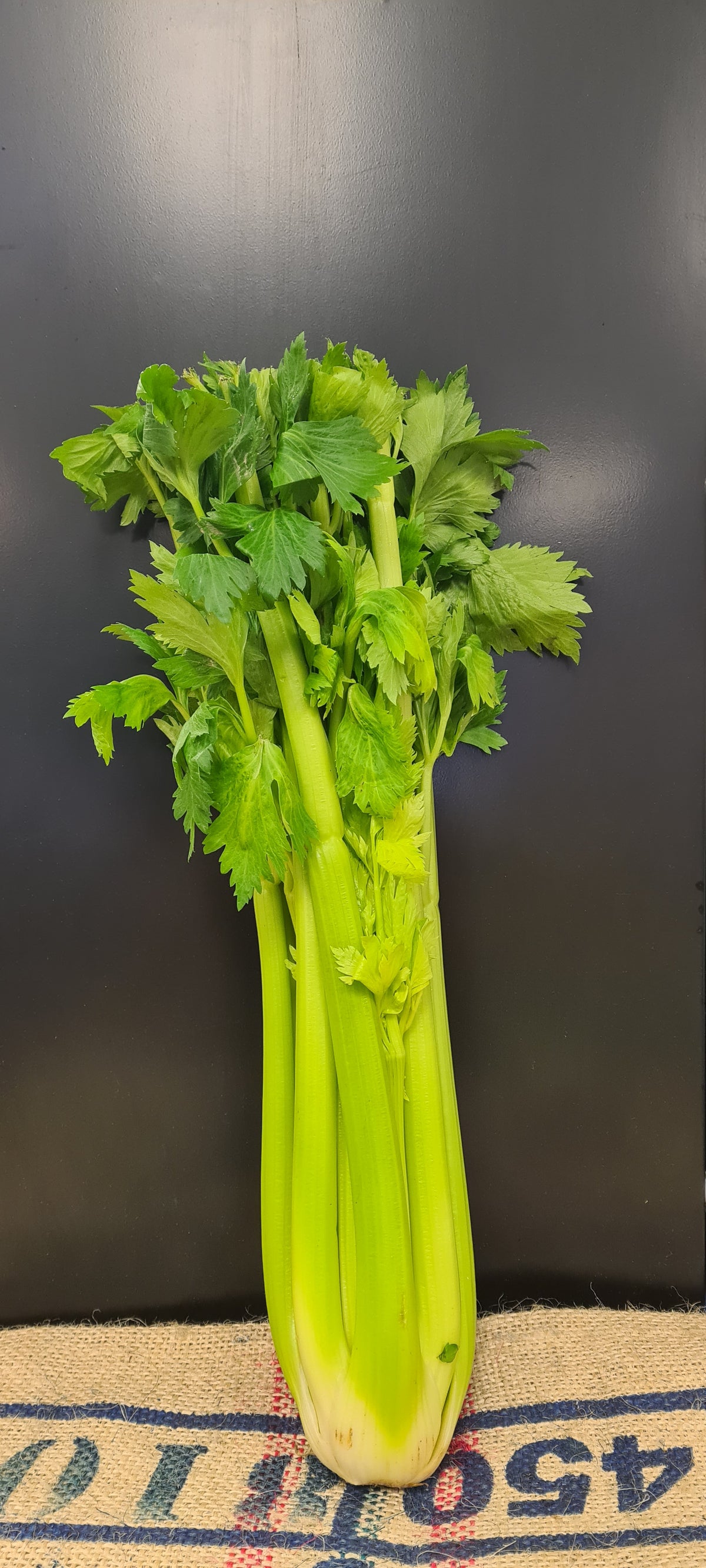 Fresh Hub Celery XL – Harvest Fresh Hub
