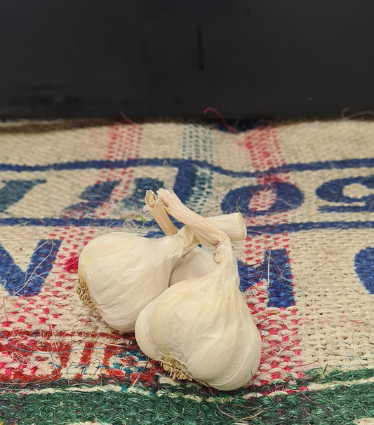 NZ GARLIC