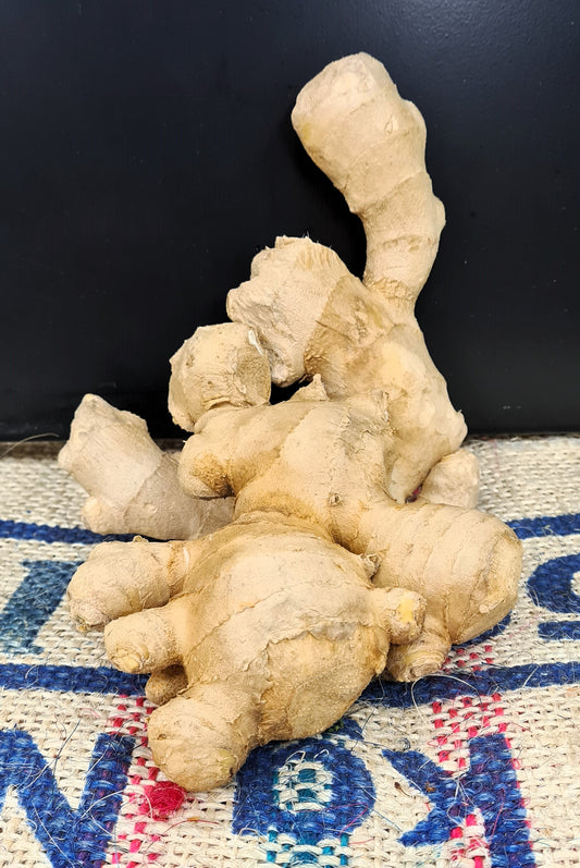 GINGER