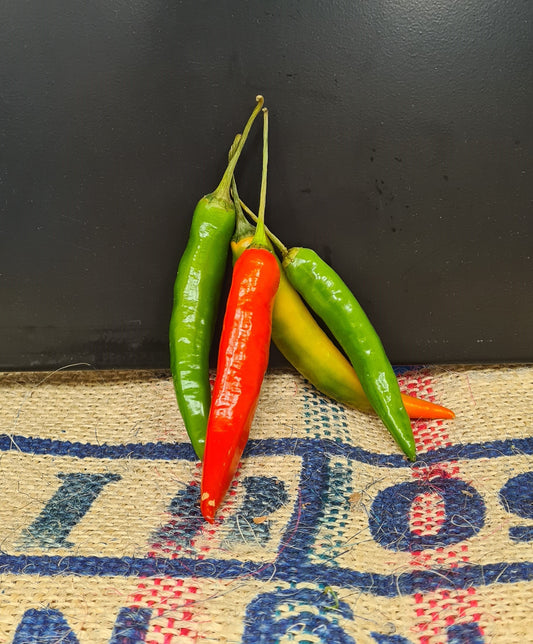 CHILLI PEPPER