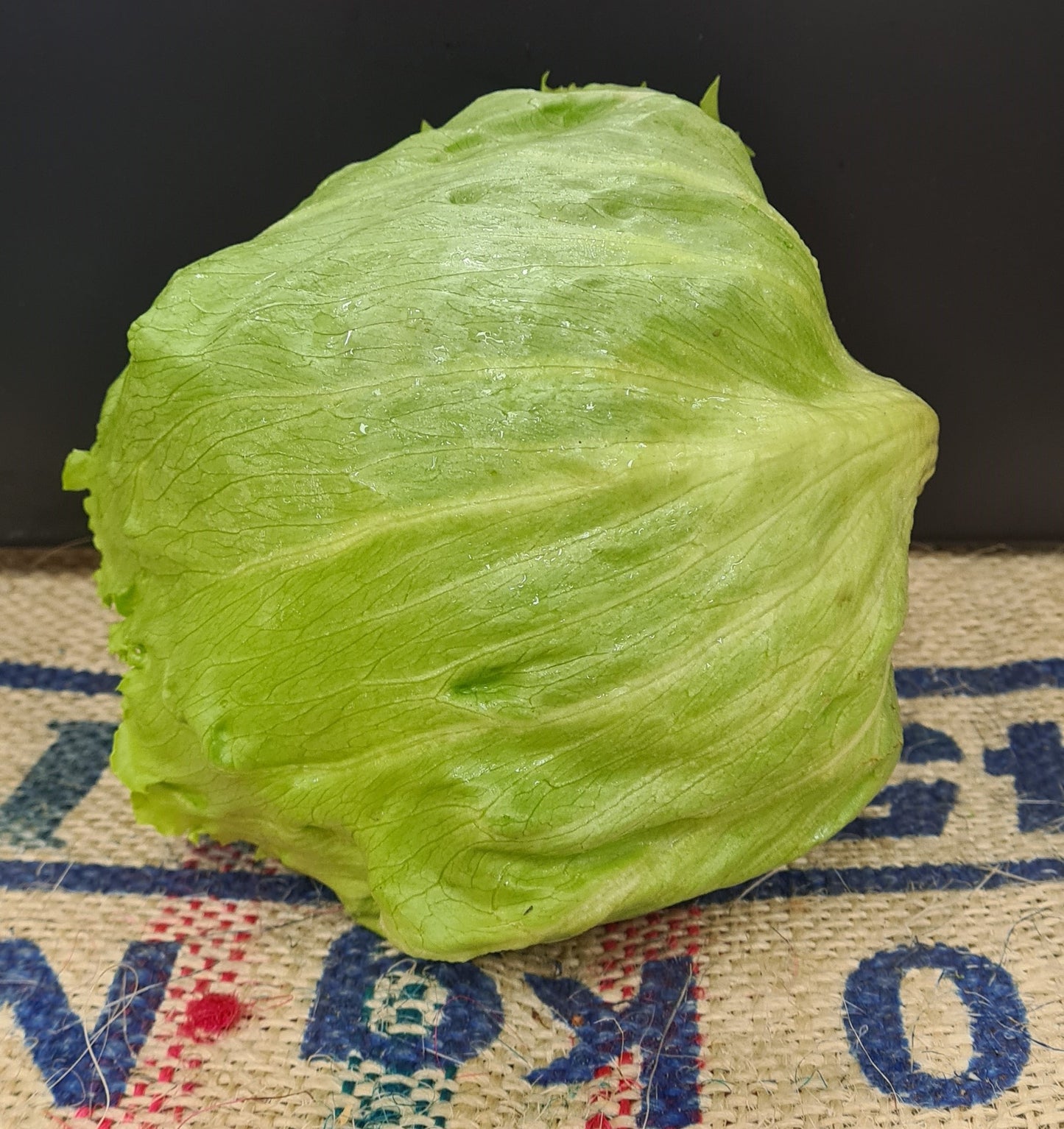 ICEBERG LETTUCE