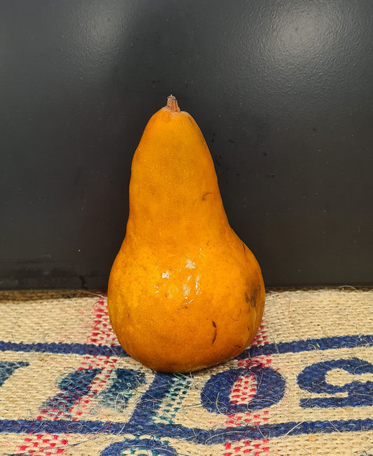 GOLDEN TAYLOR PEARS