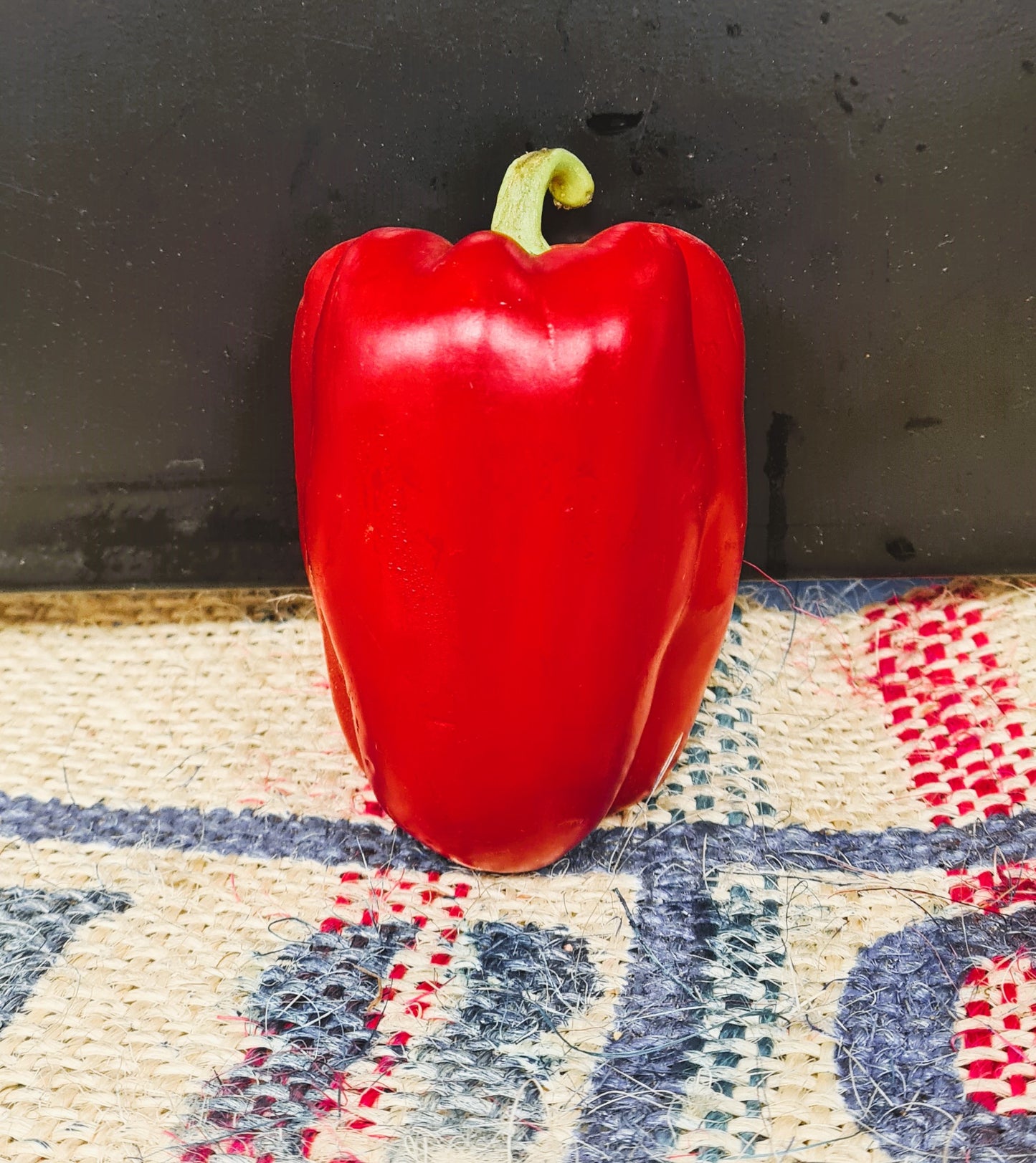 RED CAPSICUM