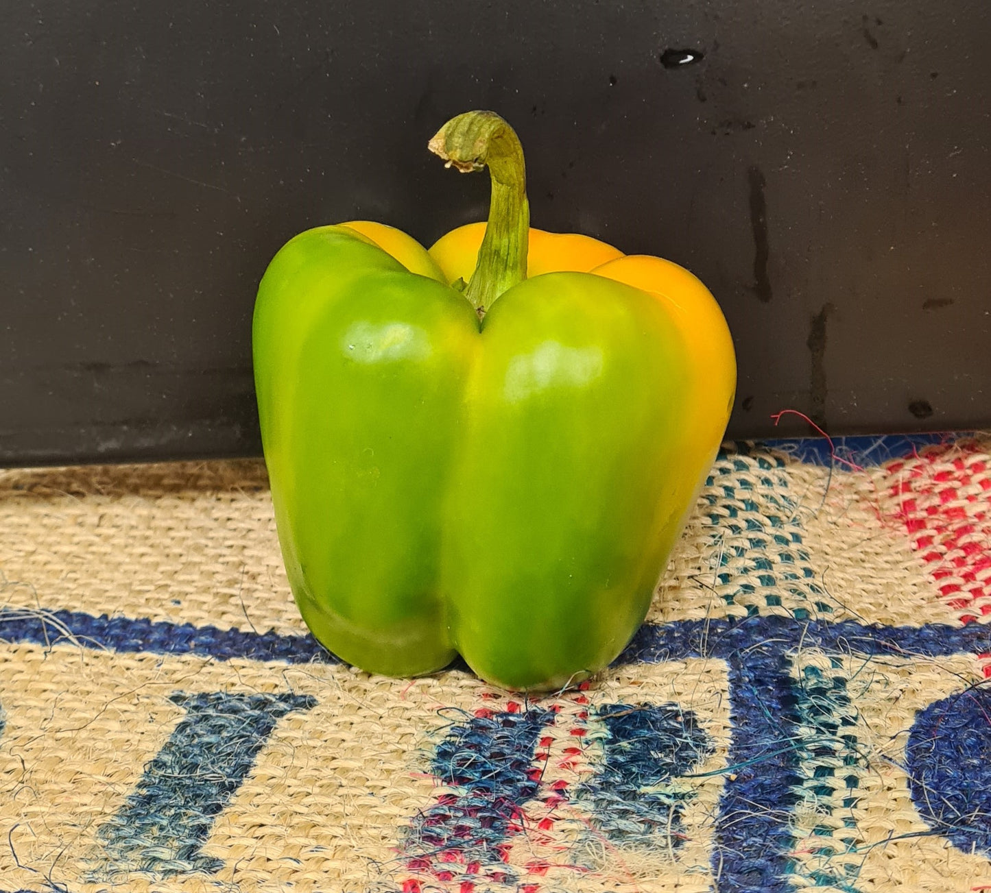 Green Capsicum