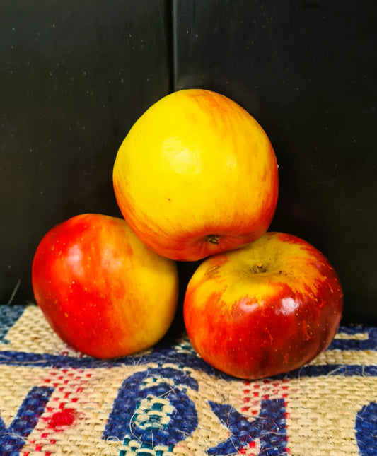 APPLE JAZZ