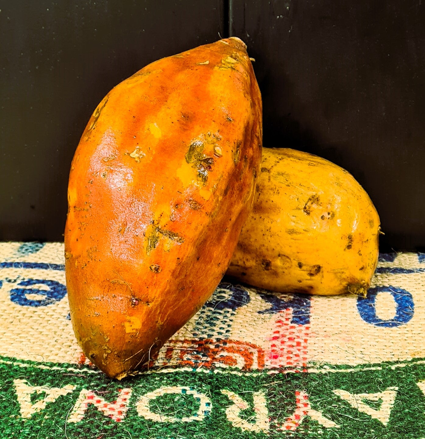 KUMARA ORANGE Jumbo
