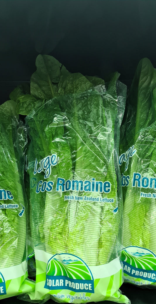 Cos Lettuce