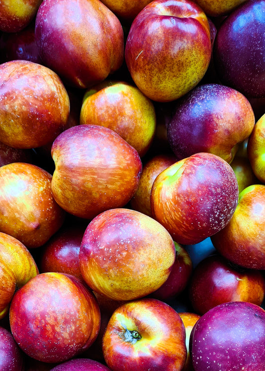 Nectarines
