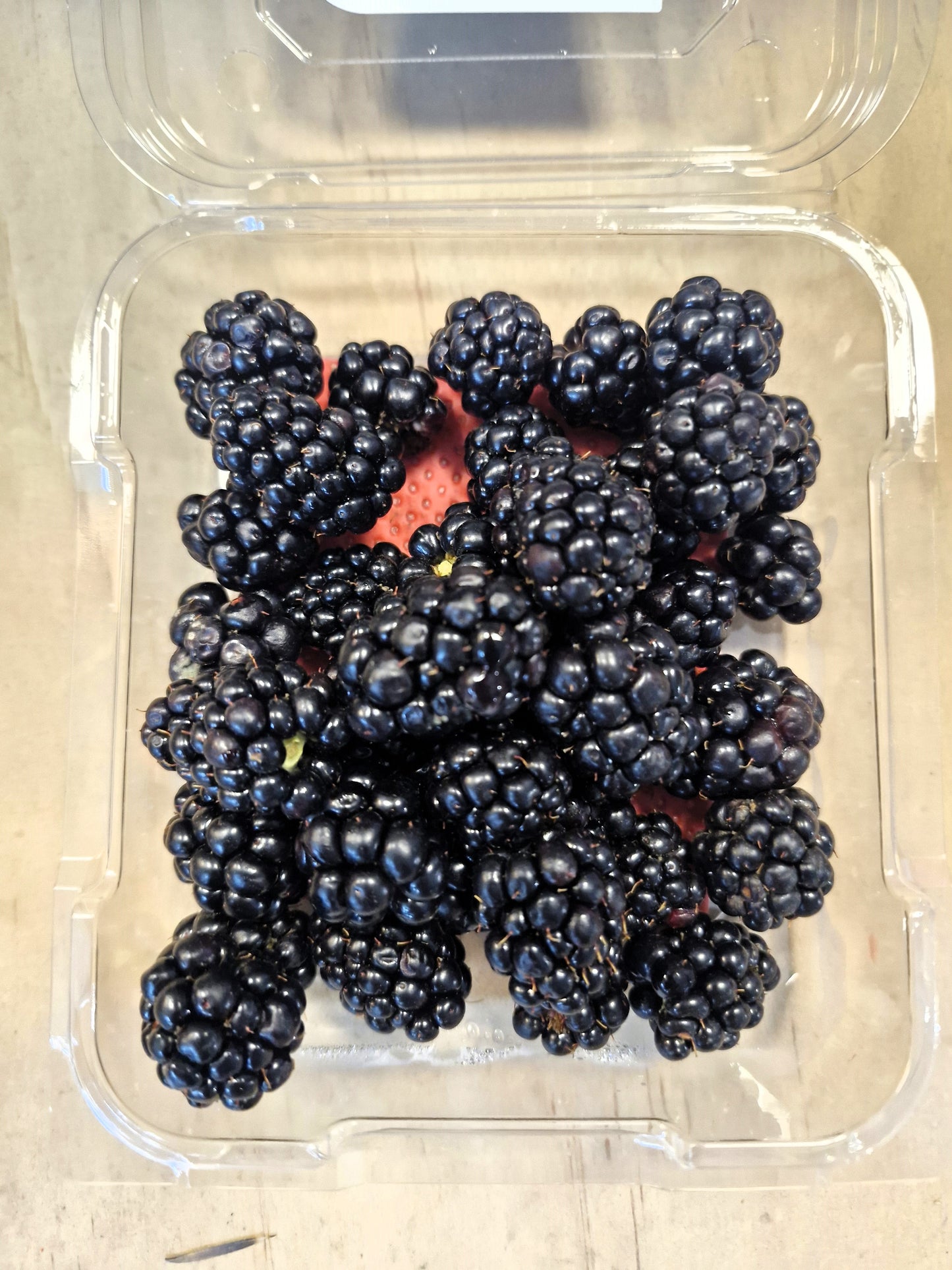 NZ Blackberries -125 gr