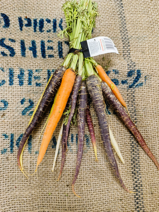 Spring Carrots bunch