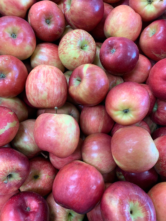 Apples - Fuji